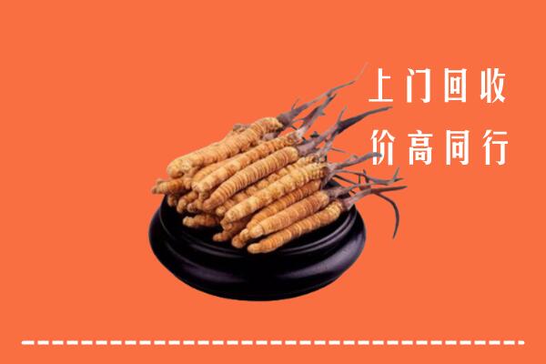 高价求购：平凉回收散虫草